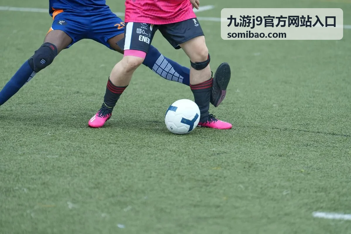 九游j9官方网站入口安全验证指引封面